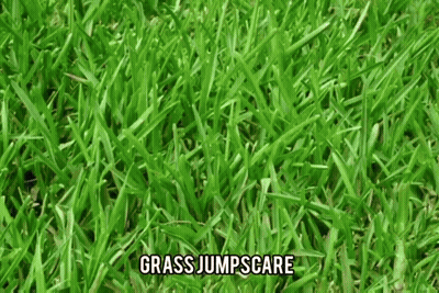 Lush Green Lawn Grass Jumpscare GIF