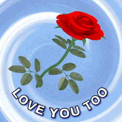 Luv U Too Spinning Red Rose GIF