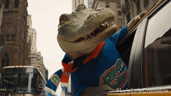 Lyle Crocodile Looking Outside The Car Window GIF