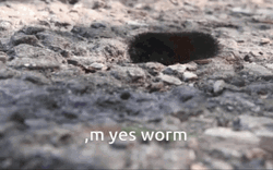 M Yes Worm GIF