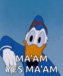 Maam Yes Maam Salute Donald Duck GIF