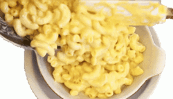 Mac N Cheese Pasta In A Bowl GIF