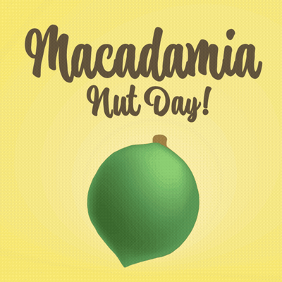 Macadamia Nut Day Poster With Nut GIF