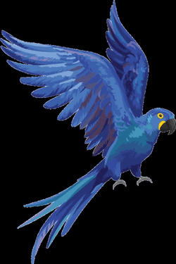 Macaw Blue Bird Fly GIF