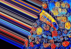 Macaw Mosaic Art GIF