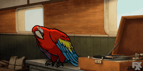 Macaw Swaying Bird GIF