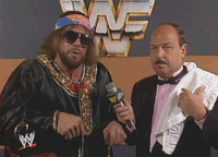Macho Man A Grain In The Sand  GIF