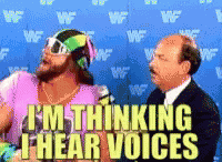 Macho Man Hallucinating Voices GIF