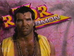 Macho Man Yo No Nintendo Man  GIF