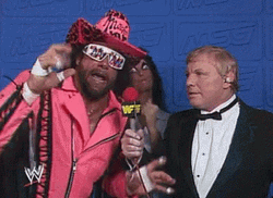 Macho Man You May Not Like  GIF