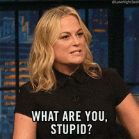 Mad Amy Poehler Asking Are You Stupid GIF