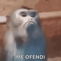Mad Monkey Offended Face GIF