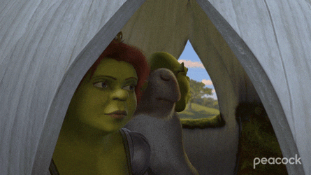 Mad Shrek Screaming Inside A Coach GIF