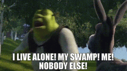 Mad Shrek Yelling At Donkey GIF