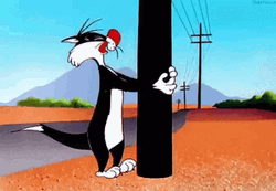 Mad Sylvester Cat Bonking His Head On A Post GIF