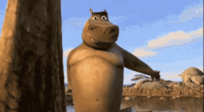 Madagascar Hippopotamus Standing By Tree Looking At Camera GIF