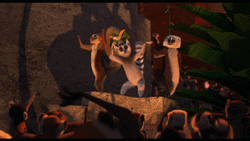 Madagascar Lemurs Dance Party GIF