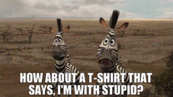 Madagascar Marty Im Dumb Im With Stupid GIF