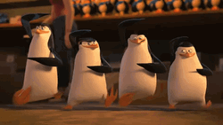 Madagascar Penguin Dance GIF