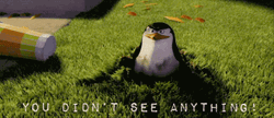 Madagascar Penguin Disappearing GIF