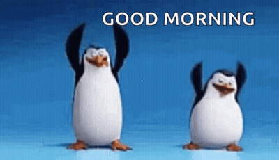 Madagascar Penguins Dancing Saying Good Morning GIF