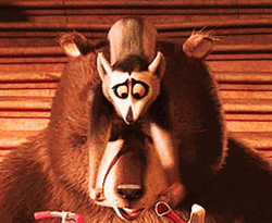 Madagascar Pinching Bear Cheeks GIF