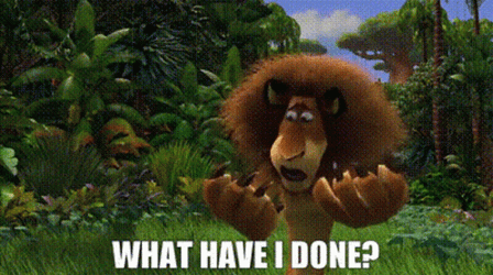 Madagascar What Have I Done GIF