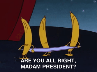Madam President Rockos Modern Life GIF