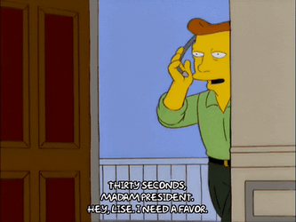Madam President The Simpsons Bart Lisa GIF