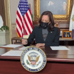 Madam Vice President Kamala Harris Highlighting Texts GIF