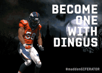 Madden Dingus GIF