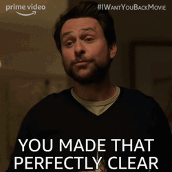 Made That Perfectly Clear Understood GIF