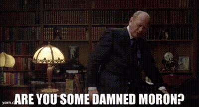 Madison Moron1 GIF