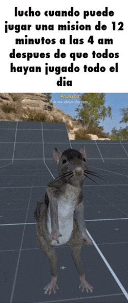 Maes Lucho GIF