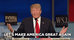 Maga Donald Says Make America Great Again GIF