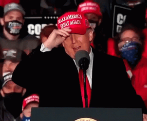 Maga Donald Trump Cap GIF
