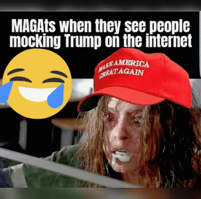 Magats When They See People Mocking Trump On The Internet With A Picture Of A Woman Wearing A Make America Great Again H GIF