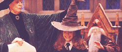 Maggie Smith Minerva McGonagall Harry Potter GIF