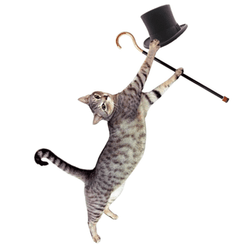 Magician Dancing Cat Meme GIF