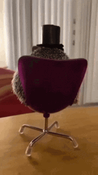 Magician Hedgehog Turn Around GIF