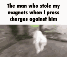 Magnet Crazy Wild Dog Funny Meme