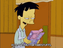 Magnet Foodstuff Mr. Sparkle The Simpsons GIF