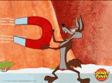 Magnet Wile E. Coyote Looney Tunes Funny Scene