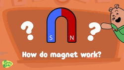 Magnet Work Explain Pants Bear