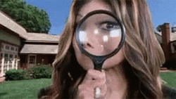 Magnifying Glass GIF