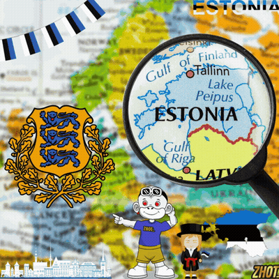 Magnifying Glass Map Of Estonia And Gulf Of Finland GIF