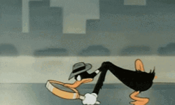 Magnifying Glass No Glass Black Cartoon Duck Investigate GIF
