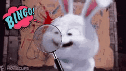 Magnifying Glass White Rabbit Bingo GIF