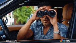 Magnum Pi Spy GIF
