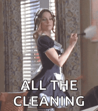 Maid Cleaning Window Saying All The Cleaning GIF